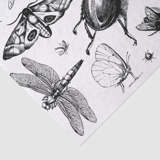 Schwarz und Grau Seidenpapier (Ausschnitt)