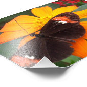 schwarz und orange fotodruck (Ecke)