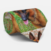 Schwarz und Rot 2 Krawatte (Gerollt)