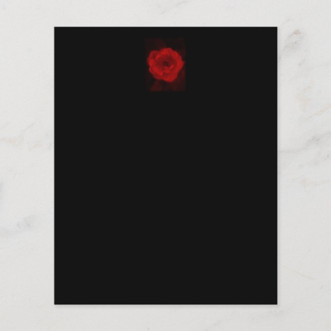 Schwarz und Rote Rose. (Vorderseite)