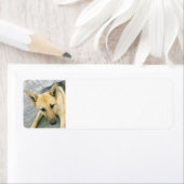 Schwarz und Sahne (Insitu)