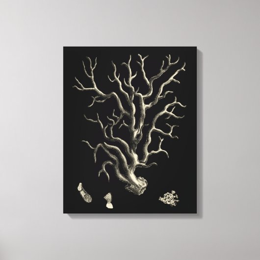 Schwarz und Tan Coral Leinwanddruck (Vorderseite)