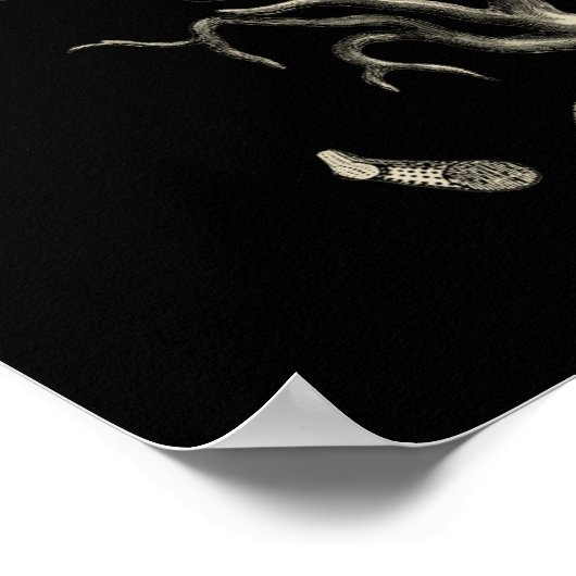 Schwarz und Tan Coral Poster (Ecke)