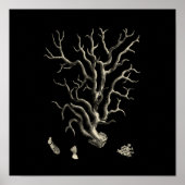 Schwarz und Tan Coral Poster (Vorne)