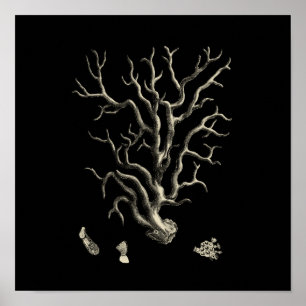 Schwarz und Tan Coral Poster