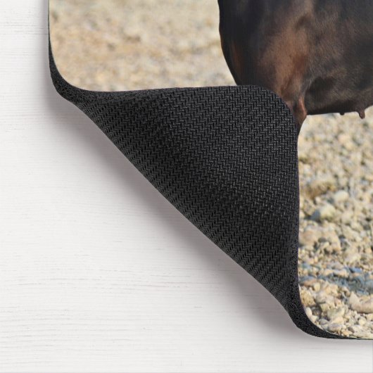Schwarz und Tan Doberman Pinscher am Ufer Mousepad (Ecke)
