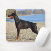 Schwarz und Tan Doberman Pinscher am Ufer Mousepad (Mit Mouse)