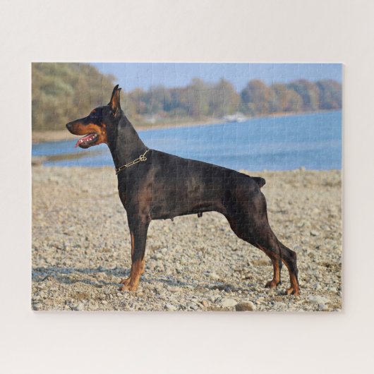 Schwarz und Tan Doberman Pinscher an der Küste Puzzle (Horizontal)
