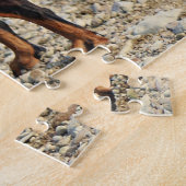 Schwarz und Tan Doberman Pinscher an der Küste Puzzle (Seite)