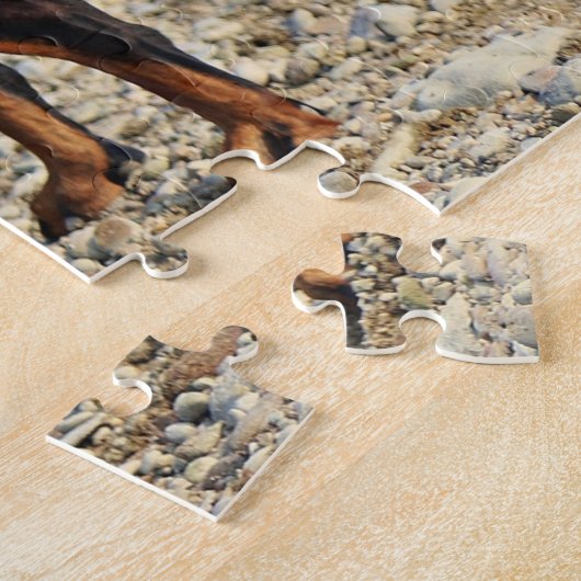 Schwarz und Tan Doberman Pinscher an der Küste Puzzle (Seite)