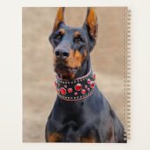 Schwarz und Tan Doberman Pinscher im Jewelkragen Planer (Rückseite)