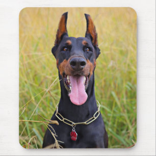 Schwarz und Tan Doberman Pinscher Mousepad