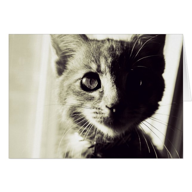 Schwarz und Weiß am Tag (Vorderseite (Horizontal))