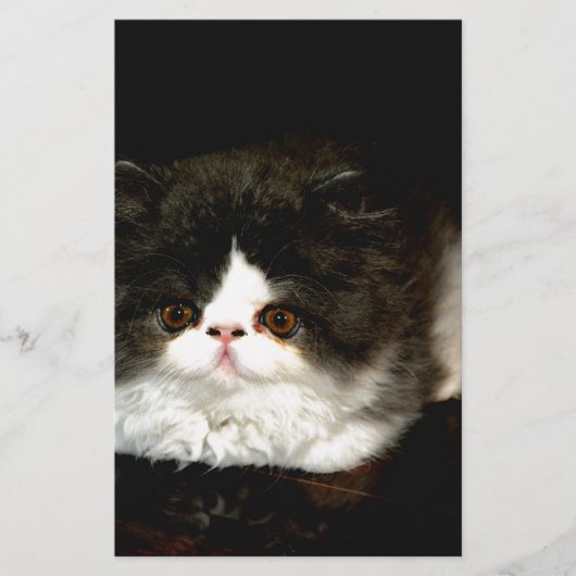 Schwarz und Weiß Briefpapier (Vorderseite)