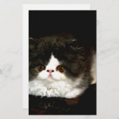 Schwarz und Weiß Briefpapier (Vorne/Hinten)