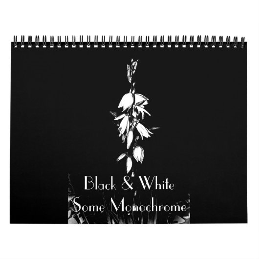 Schwarz und Weiß, einige Monochrome Kalender (Titelbild)