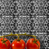 Schwarz und Weiß Elegant Stilvolles Damask Muster Fliese