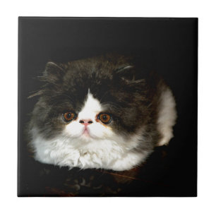 Schwarz und Weiß Fliese