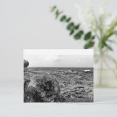 Schwarz und Weiß, Foto, Standardpostkarte Postkarte (Stehend Vorderseite)