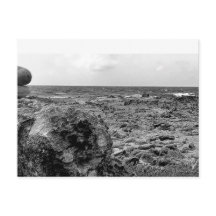 Schwarz und Weiß, Foto, Standardpostkarte