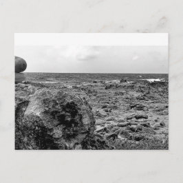 Schwarz und Weiß, Foto, Standardpostkarte Postkarte