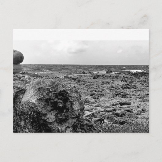 Schwarz und Weiß, Foto, Standardpostkarte Postkarte (Vorderseite)