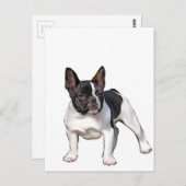 SCHWARZ UND WEISS FRANZÖSISCHER BULLDOG POSTKARTE (Vorne/Hinten)