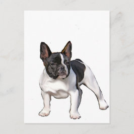 SCHWARZ UND WEISS FRANZÖSISCHER BULLDOG POSTKARTE