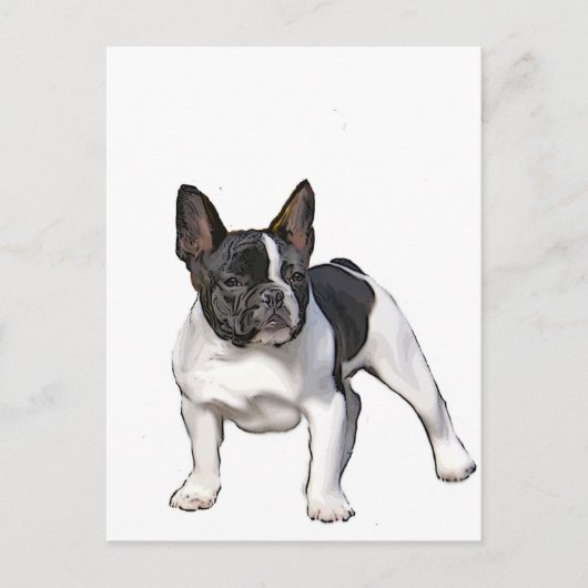 SCHWARZ UND WEISS FRANZÖSISCHER BULLDOG POSTKARTE (Vorderseite)