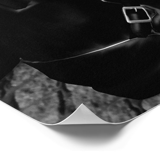 Schwarz und Weiß) - GROSS Poster (Ecke)