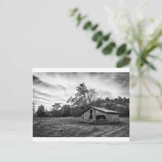 Schwarz und Weiß in der Morgendämmerung Postkarte (Stehend Vorderseite)