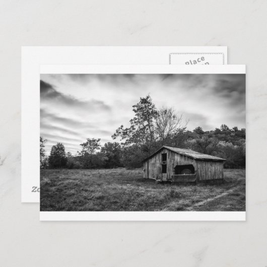 Schwarz und Weiß in der Morgendämmerung Postkarte (Vorne/Hinten)