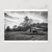 Schwarz und Weiß in der Morgendämmerung Postkarte (Vorderseite)