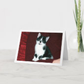 Schwarz und Weiß Karte (Vorderseite)