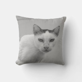 Schwarz und Weiß - Katze 02 Kissen