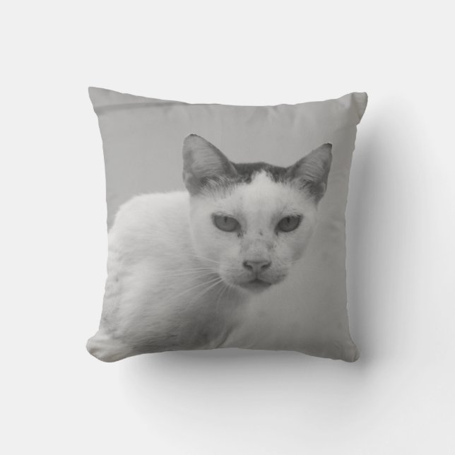 Schwarz und Weiß - Katze 02 Kissen (Vorderseite)