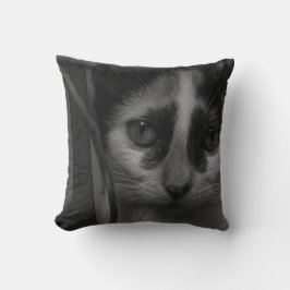 Schwarz und Weiß - Kitten 02 Kissen