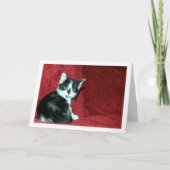Schwarz und Weiß Kitten auf Red Sofa Karte (Vorderseite)