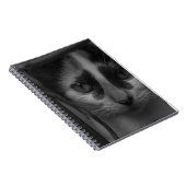 Schwarz und Weiß - Kitty 02 Notizblock (Rechte Seite)