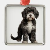SCHWARZ UND WEISS KURZ PORTUGALS WASSERHUND ORNAMENT AUS METALL (Vorne)