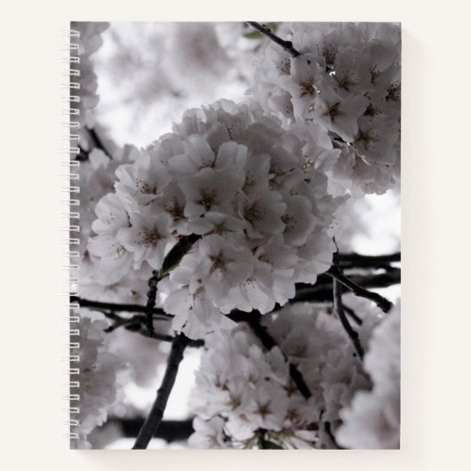 Schwarz und Weiß Notizblock (Vorderseite)