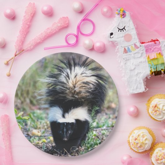 Schwarz und Weiß Pappteller (Party)