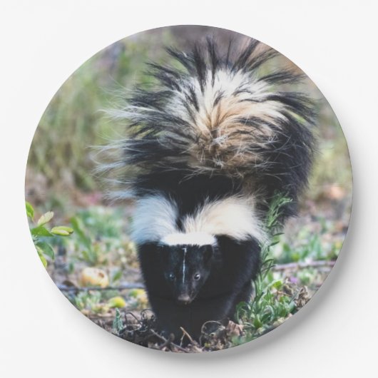 Schwarz und Weiß Pappteller (Vorderseite)