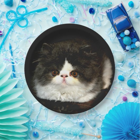 Schwarz und Weiß Pappteller (Party)