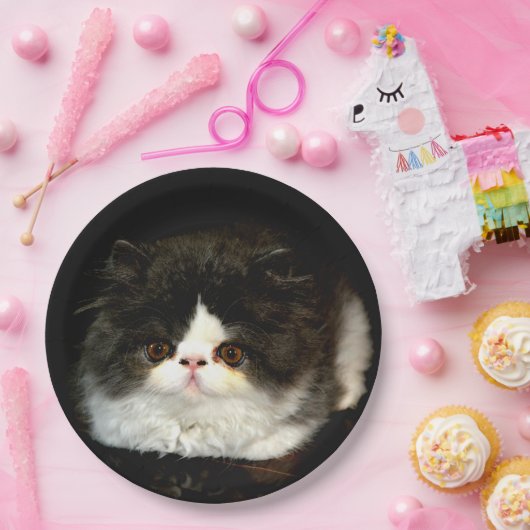 Schwarz und Weiß Pappteller (Party)