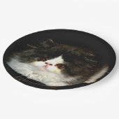 Schwarz und Weiß Pappteller (Schrägansicht)