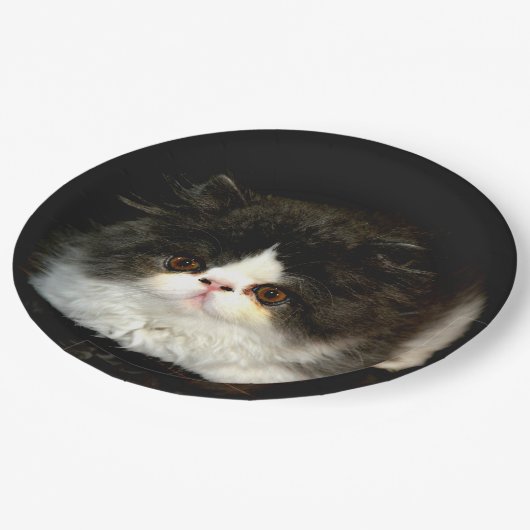 Schwarz und Weiß Pappteller (Schrägansicht)