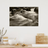 Schwarz und Weiß Poster (Küche)