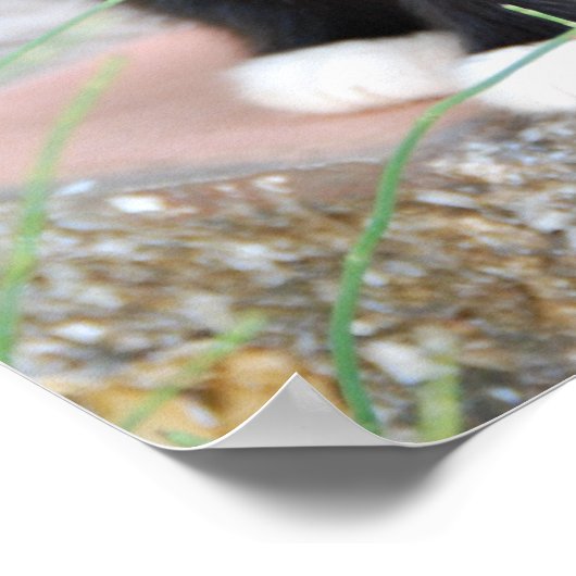 Schwarz und Weiß Poster (Ecke)