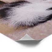 Schwarz und Weiß Poster (Ecke)